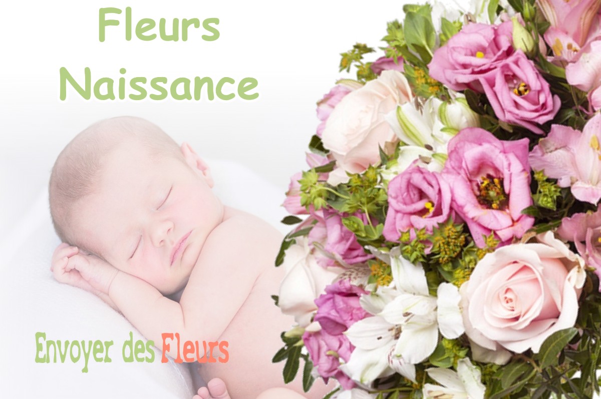 lIVRAISON FLEURS NAISSANCE à SUPT